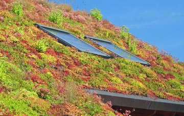 Tavistock living roof systems